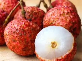 Lychee