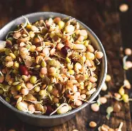 Mixed Sprouted Beans